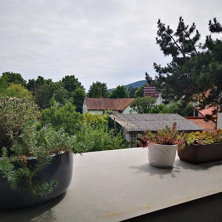 Spacy Apartment Next To The Center Of Graz With Terrasse Εξωτερικό φωτογραφία