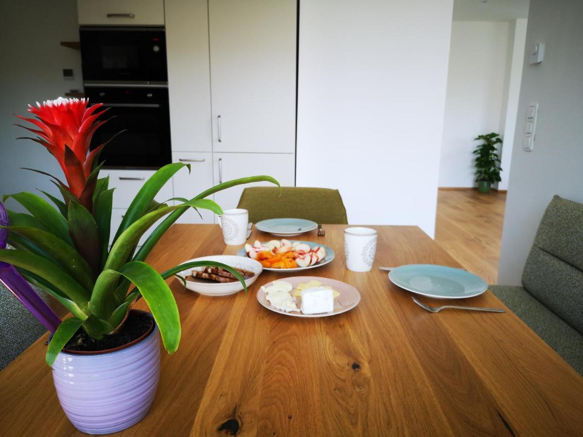 Spacy Apartment Next To The Center Of Graz With Terrasse Εξωτερικό φωτογραφία