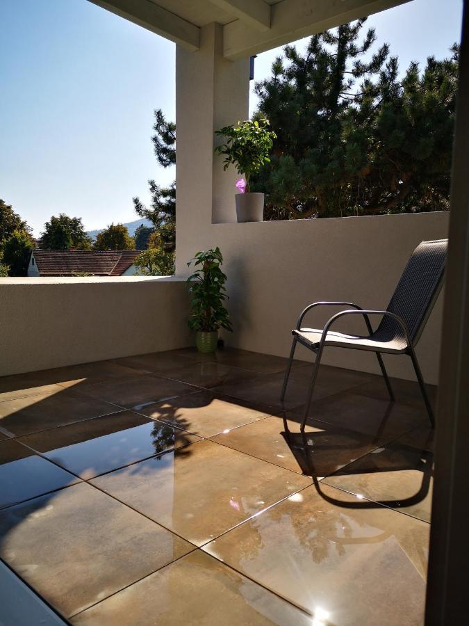 Spacy Apartment Next To The Center Of Graz With Terrasse Εξωτερικό φωτογραφία