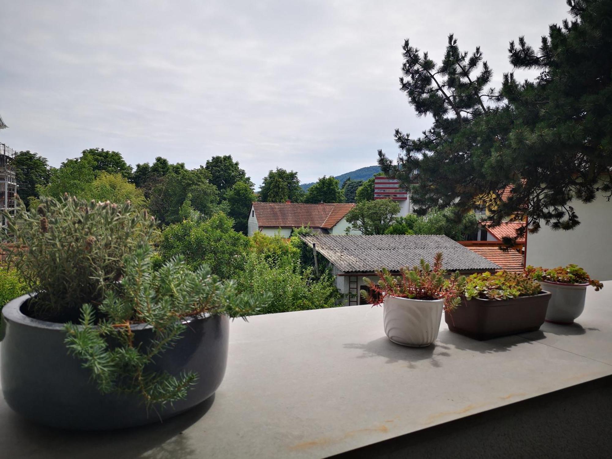 Spacy Apartment Next To The Center Of Graz With Terrasse Εξωτερικό φωτογραφία